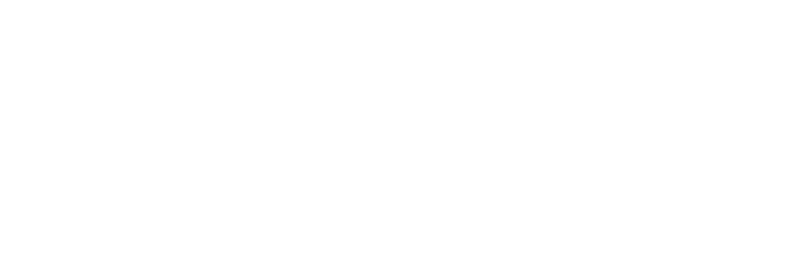 Premier Logo in White